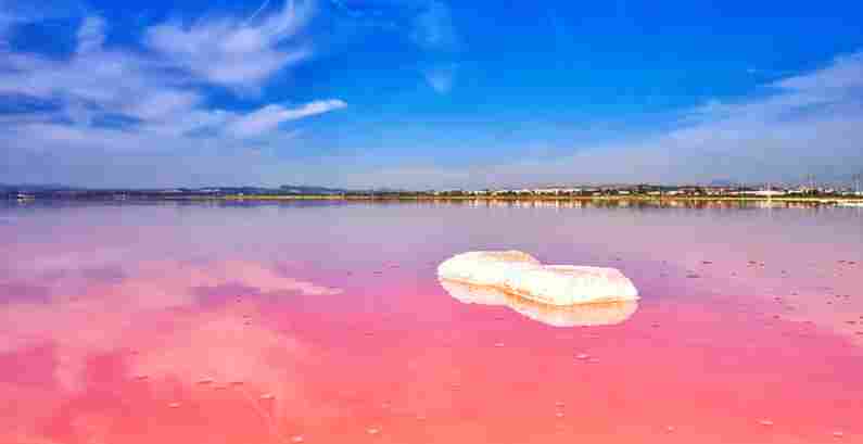 The Pink Lake of Torrevieja (Salinas de Torrevieja)